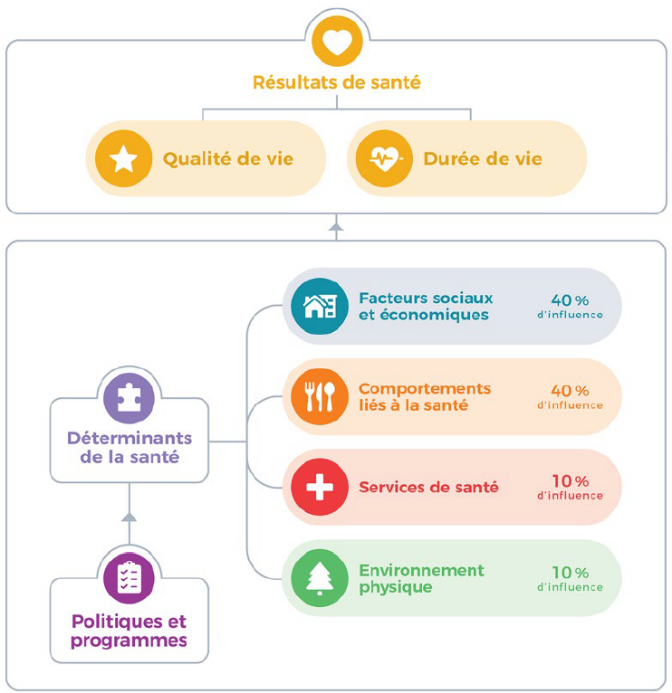 Le modèle de santé de la population.