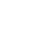 High-Performing Hospitals